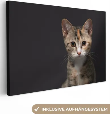 Produktbild von OneMillionCanvasses® - Leinwandbilder - 150x100 cm, Katze - Schwarz - Porträt, Wandbilder Kunstdruck Wanddekoration