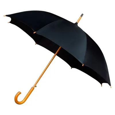 Produktbild von Regenschirm automatisch 102 cm Polyesterschwarz