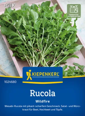 Zdjęcie produktu dla Rukola Wildfire, rukola wasabi - zioło sałatkowe i przyprawowe na rabaty, podwyższone rabaty i do doniczek, Kiepenkerl