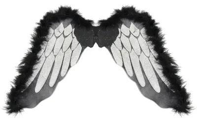 Produktbild von Engelsflügel schwarz mit silber Halloween Engel Flügel