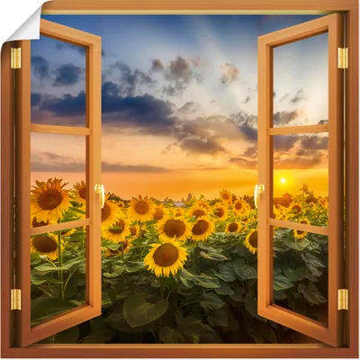 Produktbild von ARTland Poster Sonnenblumen im Sonnenuntergang Größe: 50x50 cm