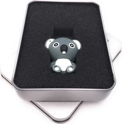 Produktbild von Onwomania Koala Bär niedliches Tier Grau USB Stick in Alu Geschenkbox 128 GB USB 3.0