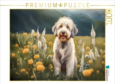 Produktbild von CALVENDO Puzzle Weißer Aussiedoodle | 1000 Teile Lege-Größe 64x48cm Foto-Puzzle für glückliche Stunden