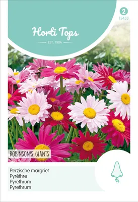 Produktbild von Pyrethrum Robinsons Riesen Mischung | Blumensamen von Hortitops