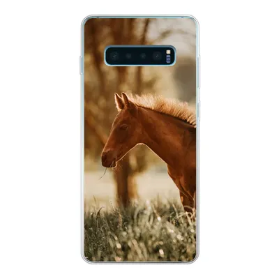 Produktbild von MuchoWow® Handyhülle Schutzhülle Hülle für Samsung Galaxy S10 Plus Pferd - Licht - Wiese Silikon Softcase Handy Hülle - Schutzhülle