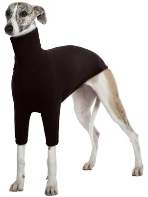 Immagine prodotto di Maglione invernale per cani "Windhund", giacca, maglione, taglia XXL, colore marrone