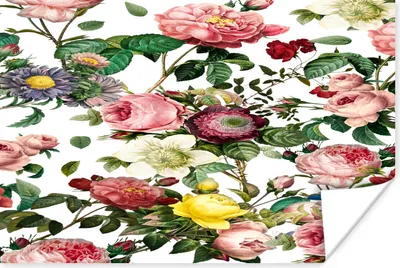 Produktbild von MuchoWow® Poster Blumen - Rose - Weiß 120x80 cm - Bilder