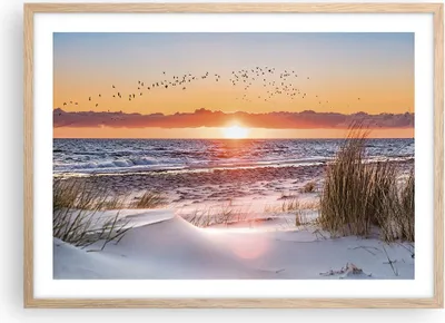 Produktbild von Gerahmtes Poster - Rahmen in heller Eiche - Sonne Strand Vögel - 70x50 cm - Wand Bild - Wanddeko - Wandbilder - Kunstposter - Wandposter - Bilderrahmen - Bilder - Kunstdruck - P2NAA70x50-4727
