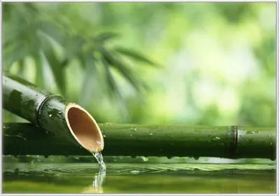 Produktbild von Wallario Wandbild Bambusquelle  Bambusrohr mit Wasser, Größe: 70,30 x 100,30 cm, Poster mit weißem Kunststoffrahmen