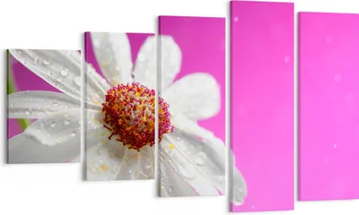 Produktbild von Bild auf Leinwand - Leinwandbild - Blume frühling garten - 100x60cm - Wand Bild - Wanddeko - Leinwanddruck - Bilder - Kunstdruck - Wanddekoration - Leinwand bilder - Wandkunst - EG100x60-2469