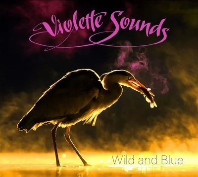 Obrázek produktu pro Violette Sounds: Wild And Blue (Limited-Edition) (Pink Vinyl)