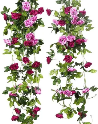 Immagine prodotto di Ghirlanda decorativa magenta 240 cm, set da 2 pezzi