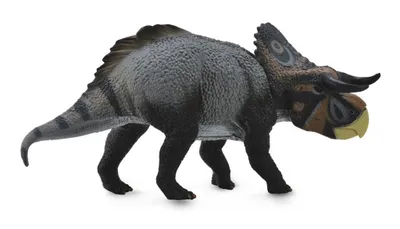 Immagine prodotto di Dinosauro Nasutoceratops 88705 Collecta