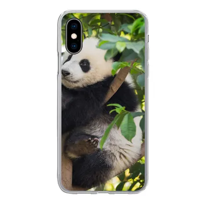 Produktbild von MuchoWow® Handyhülle Schutzhülle Hülle für iPhone X Panda - Tier - Baum Silikon Softcase Handy Hülle - Handyhülle