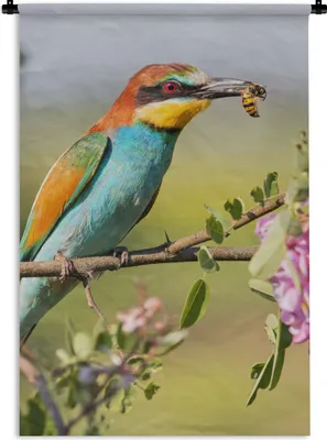 Produktbild von MuchoWow® Wandteppich Wandbehang Vogel - Bienenfresser - Blumen 60x90 cm Tapisserie Dekoration Wandtuch - Foto-Teppich - Abwaschbar