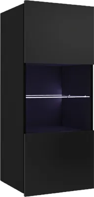 Produktbild von BETTSO Moderne Hängende Vitrine BIRD Schwarz – 1 Tür – mit Glastür & Glasboden – Wandvitrine