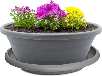 Produktbild von Pflanzkübel mit Untersetzer 35 cm Pflanzschale für aussen grau