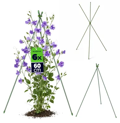 Immagine prodotto di KADAX Supporto per piante rampicanti, 60 cm, 5 pezzi, tutore in metallo con rivestimento in plastica, obelisco per fiori, talee e fragole rampicanti