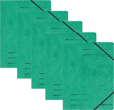 Immagine prodotto di herlitz 972471 5er Eckspanner easy orga DIN A4 grün