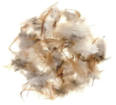 Produktbild von Glorex Marabufedern ca. 10 g naturbraun