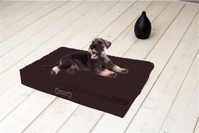 Obrázek produktu pro Sun Garden Buddy Orthopedisch Hondenkussen 72x50x8cm Donkerbruin