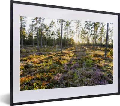 Produktbild von MuchoWow® MuchoWow® Gerahmtes Poster Bäume in einer Heidelandschaft 40x30 cm - Poster mit zchwarzem Bilderrahmen - Bilderrahmen - Poster im Rahmen