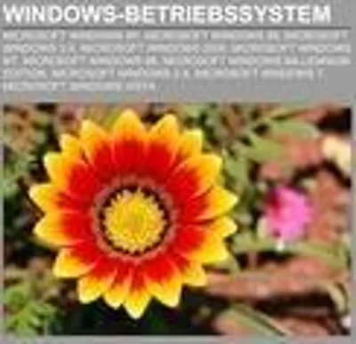 Produktbild von Windows-Betriebssystem