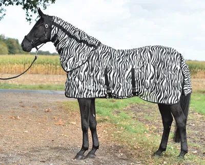Produktbild von Busse Paddock Fliegendecke ZEBRA mit Bauchlatz und abnehmbarem Halsteil, Busse_17_Groessen:115