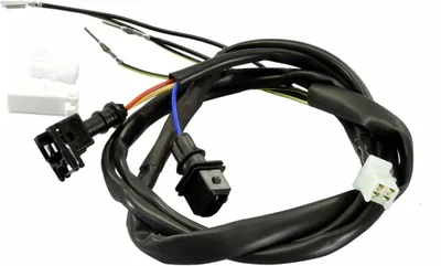 Zdjęcie produktu dla POLINI ECU Kabelbaum Piaggio Vespa E3/E4