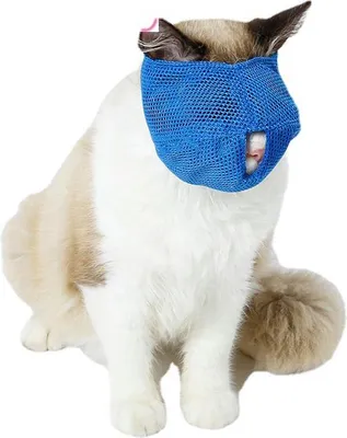 Produktbild von Katzenmaulkörbe, vielseitig einsetzbar, verstellbarer Bisswiderstand, atmungsaktive Netz-Mundabdeckung für Katzen, Kätzchen, Blau