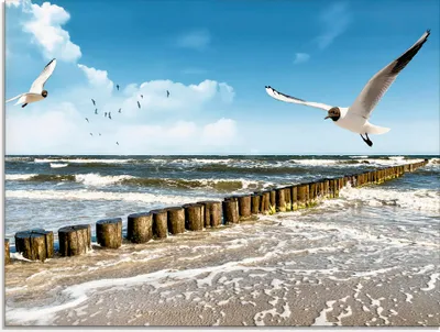 Produktbild von ARTland Glasbild Ostsee Größe: 80x60 cm
