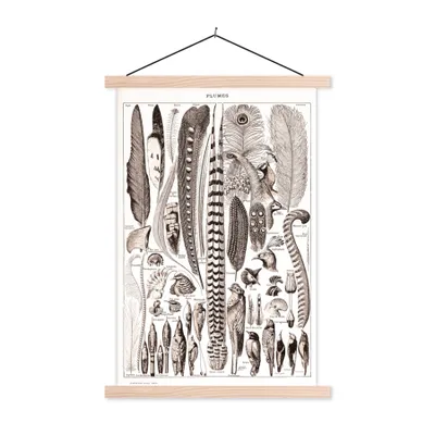 Produktbild von MuchoWow® Textilposter Tiere - Federn - Schwarz - Weiß 120x180 cm mit holzfarbenen Rahmen - Textil-Plakat