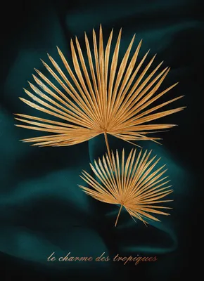 Image de STYLER : Tableau en verre 50x70 cm, motif de plantes tropicales, décoration murale moderne pour salon, chambre ou bureau.  "GLASSPIK TROPIQUES"
