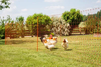 Produktbild von Kerbl Geflügelnetz (E-fähig, 50m x 106cm, 15 Pfähle, Hühner/Gänse) orange 292270