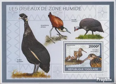 Produktbild von Briefmarken Togo 2010 Mi Block498 (kompl.Ausg.) postfrisch Vögel