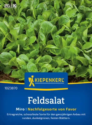 Artikelbild 2 von 'Feldsalat Miro' aus der Kategorie Feldsalatsamen