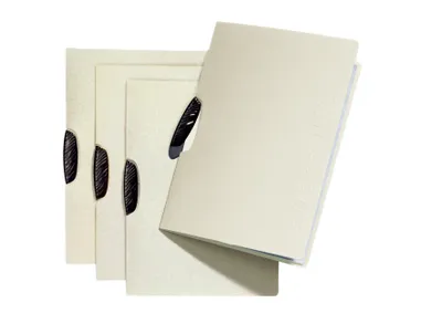 Immagine prodotto di Pagna® 22007-09 Cartella di applicazione Swing - beige