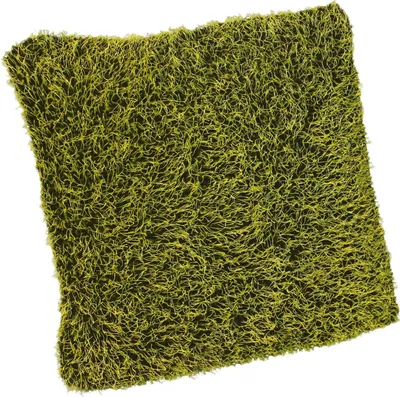 Produktbild von Kissenbezug Wiese 50x50 Limette Kissenhülle kuschlig weich Deko Kissen Couchkissen Sofakissen