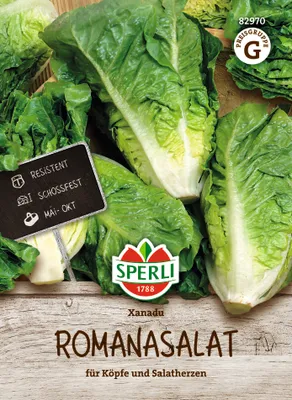 Produktbild von SPERLI Romanasalatsamen Xanadu Lactuca sativa 50 Pflanzen