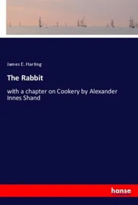 Produktbild von The Rabbit