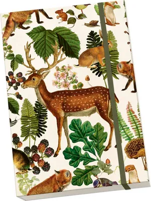 Image de Notýsek Animaux de la forêt