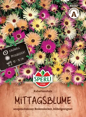 Produktbild von SPERLI Mittagsblumensamen Rabattenstolz Dorotheanthus bellidiformis 150 Pflanzen
