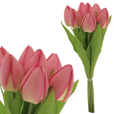 Obrázok produktu pre Autronic Puget Tulipány, 7 kvetov, ružová