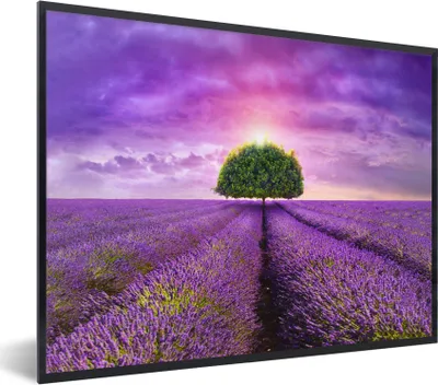 Produktbild von MuchoWow® Gerahmtes Poster Lavendel - Baum - Lila - Wolken 40x30 cm - Poster mit Schwarzem Bilderrahmen Wandposter Rahmen Foto Bilder - Kunstposter - Wanddekorationen