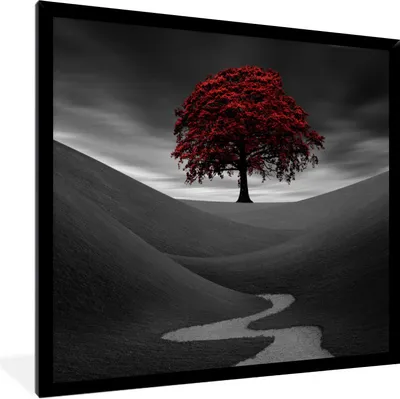 Produktbild von MuchoWow® Gerahmtes Poster Schwarz-Weiß-Foto mit einem roten Baum 40x40 cm - Poster mit Schwarzem Bilderrahmen Wandposter Rahmen Foto Bilder - Mit Rahmen - Wanddekoration Schlafzimmer