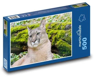 Zdjęcie produktu dla Puzzle 500 Puma na wolności - martinpuzzle
