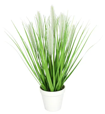 Produktbild von Künstliches Fuchsschwanzgras im Topf Gras Kunstpflanze Kunstgras Ziergras Grünpf