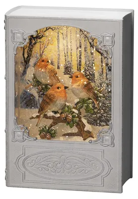 LED Wasserlaterne Buch mit Rotkehlchen, weiß, Timer, 1 warmweiße LED