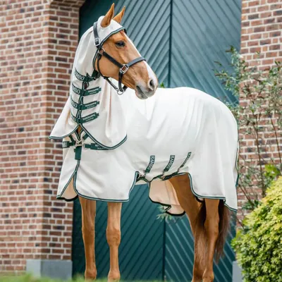 Image de Horseware Rambo Pony Hoody - Taille 110