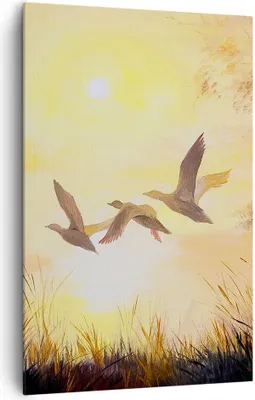 Produktbild von Bild auf Leinwand - Leinwandbild - Einteilig - Vogel Natur Wasser - 80x120cm - Wand Bild - Wanddeko - Wandbilder - Leinwanddruck - Wanddekoration - Leinwand bilder - Wandbild - PA80x120-3686